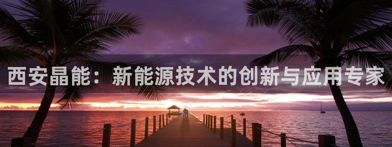 sunbet手机app版
