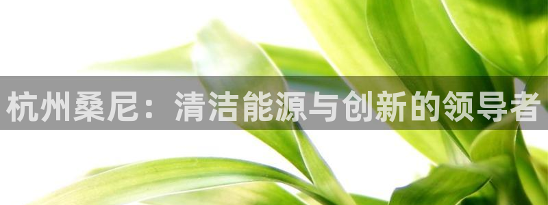 申博官网手机客户端