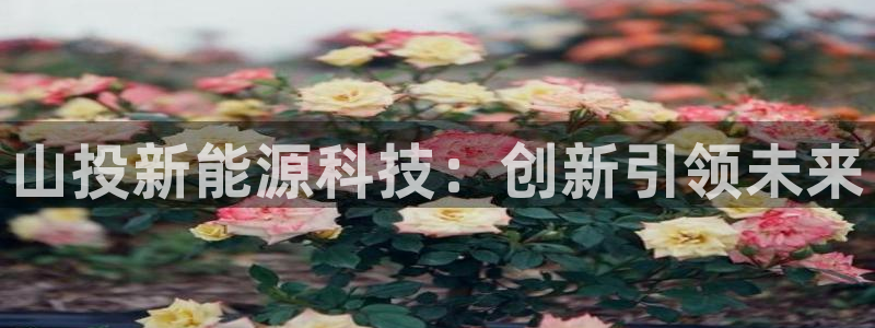 sunbet燃气灶