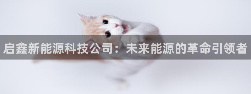 sunbet游戏最新版