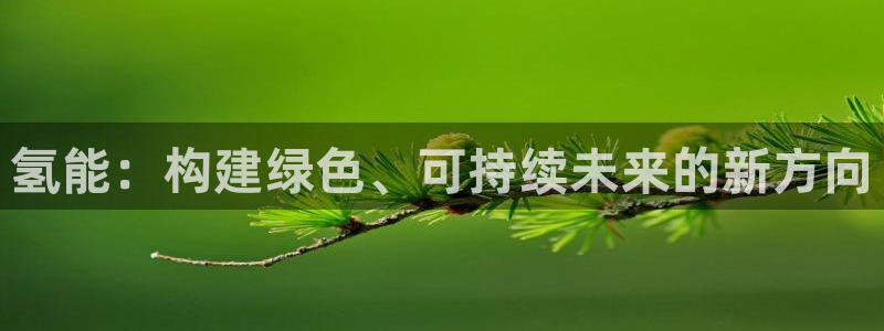 sunbet手机网页版本