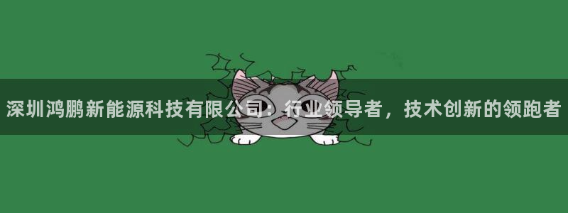 sunbet官网手机版