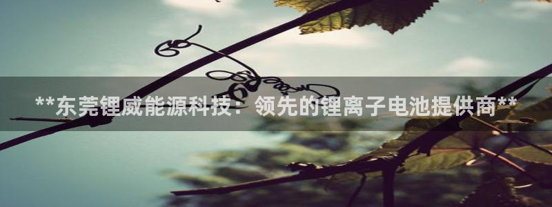 sunbet线上真人手机版