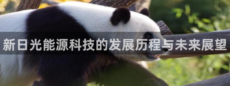 sunbet首页登录入口