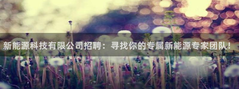 sunbet手机网页版本